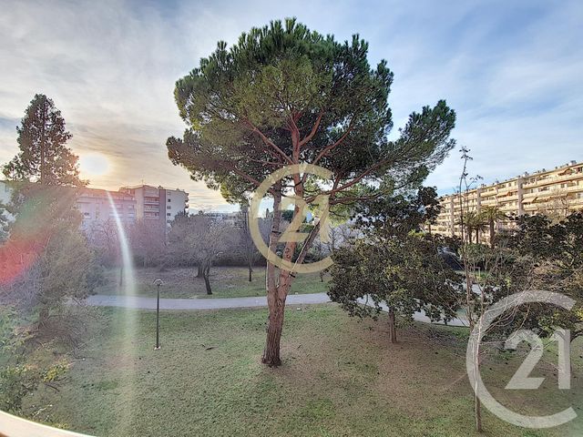 Afficher la photo en grand Studio à louer - 1 pièce - 23.37 m2 - CANNES - 06 - PROVENCE-ALPES-COTE-D-AZUR - Century 21 Immobilier Conseil
