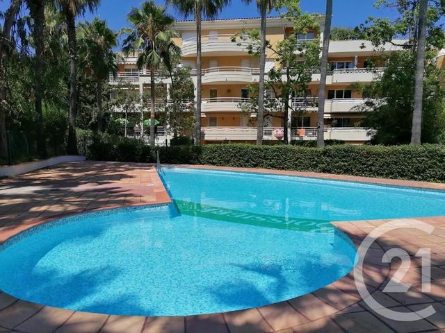 appartement - CANNES - 06