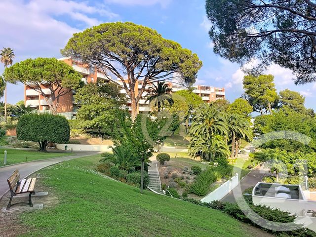 Afficher la photo en grand Appartement T2 à louer - 2 pièces - 32.81 m2 - CANNES LA BOCCA - 06 - PROVENCE-ALPES-COTE-D-AZUR - Century 21 Immobilier Conseil